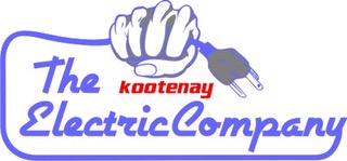 electric company LETER HEAD blue